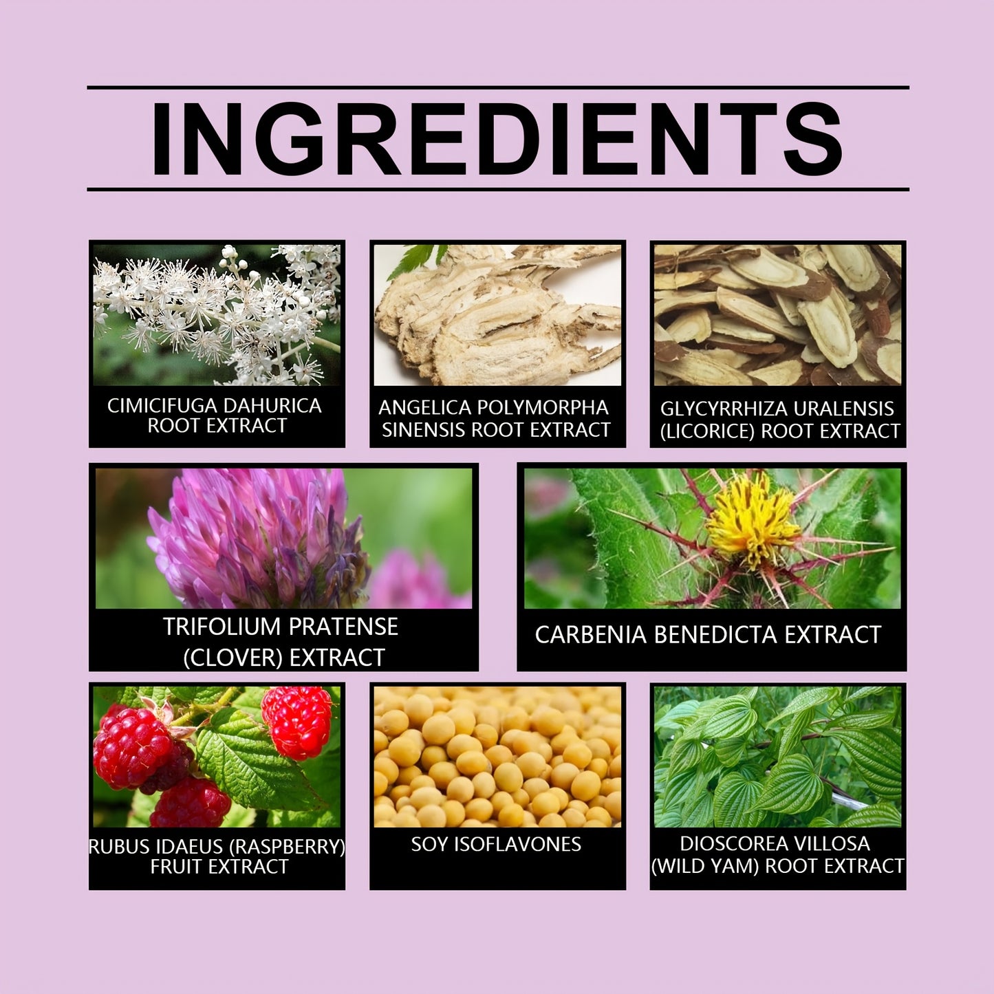 Gentle Formula Care Women's Daily Body Comfort Patch 30pcs